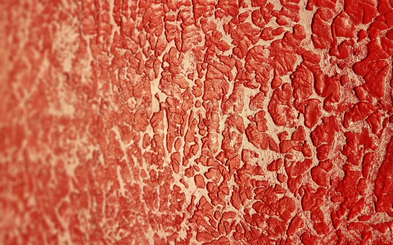 Sanding & Surface Preparation