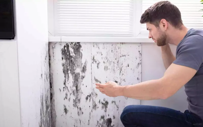 Damp Wall Treatment
